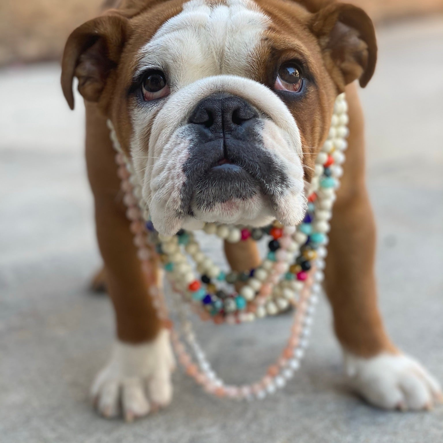 Playing Dress-up!