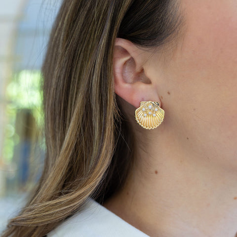Gold Shell and Tiny Pearl Studs