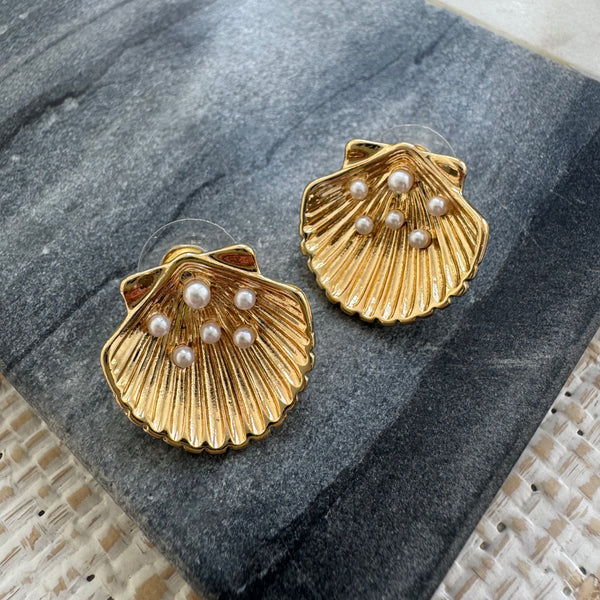 Gold Shell and Tiny Pearl Studs