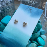 Wish Upon a Star Studs