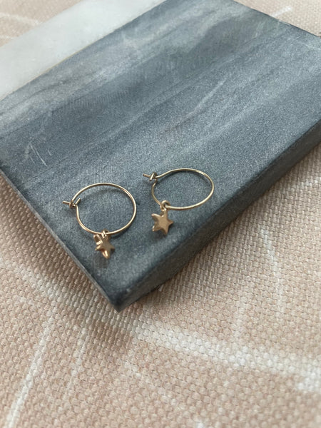 Twinkle Earrings