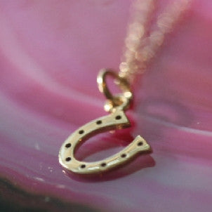 Horseshoe Luck Necklace