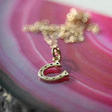 Horseshoe Luck Necklace